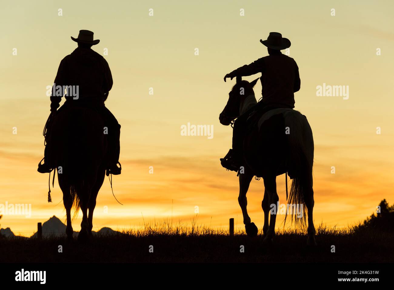 Cow-boys et chevaux en silhouette à l'aube sur le ranch, Colombie-Britannique, Canada Banque D'Images
