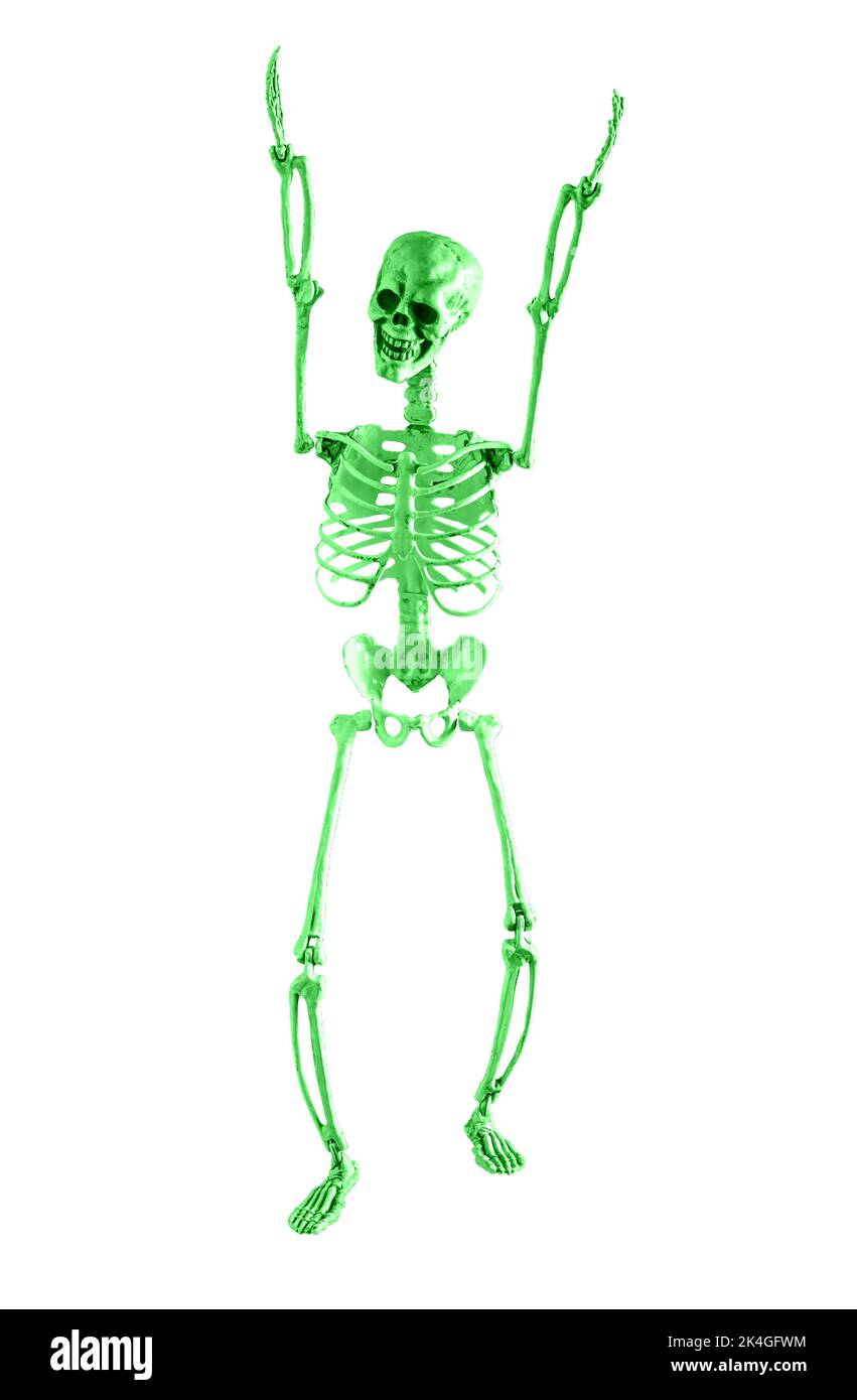 Squelette de danse drôle isolé sur fond blanc, joyeux Halloween. Photo de haute qualité Banque D'Images