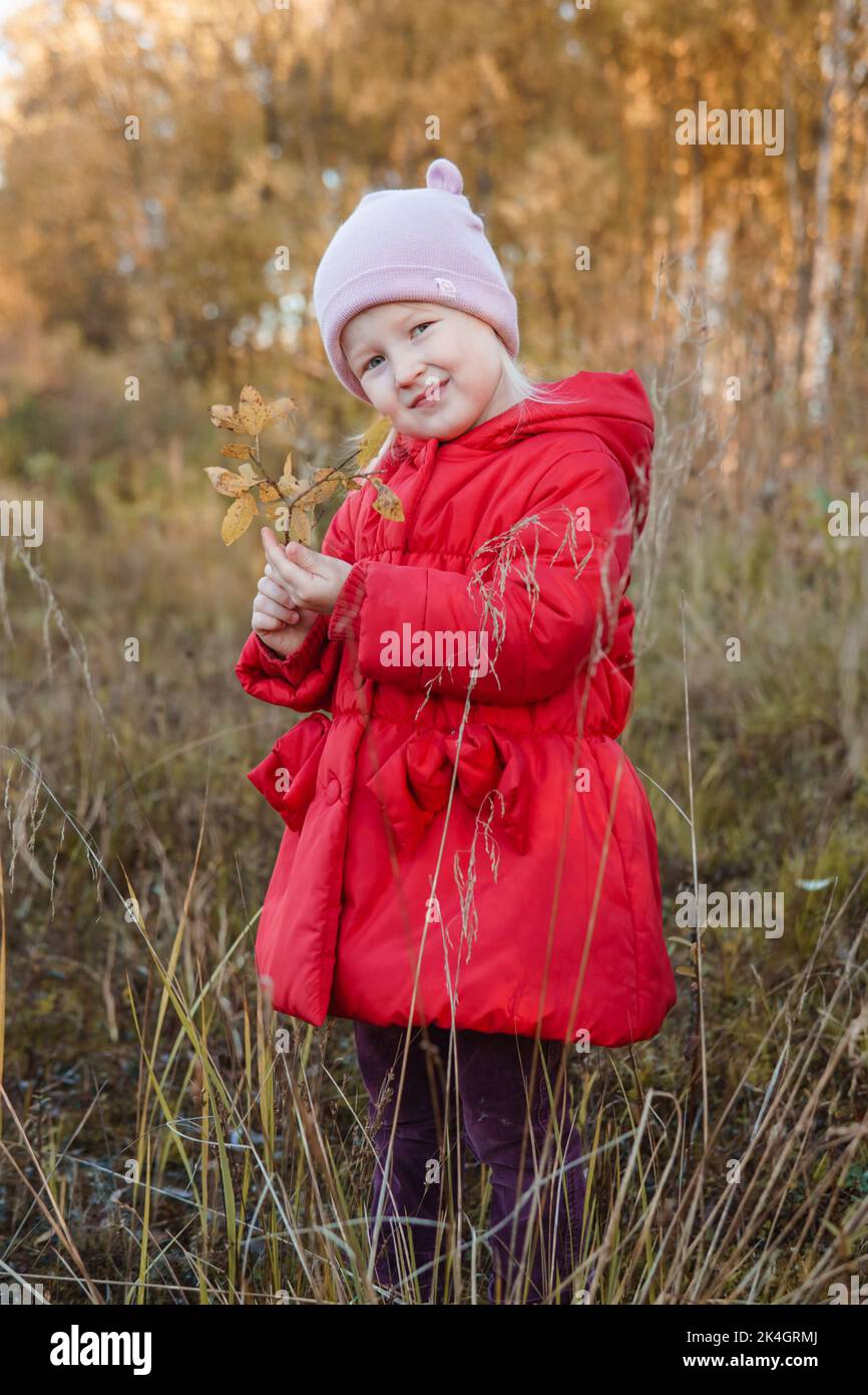 Une petite fille sous un manteau rouge marche dans la nature dans un bosquet d'automne. La saison est automne. Banque D'Images