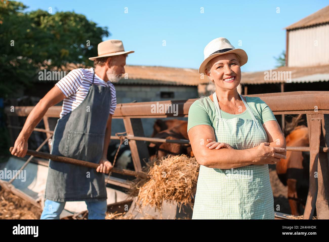 Femme mature près d'un enclos avec des vaches à la ferme Banque D'Images Femme mature près d'un enclos avec des vaches à la ferme Banque D'Images