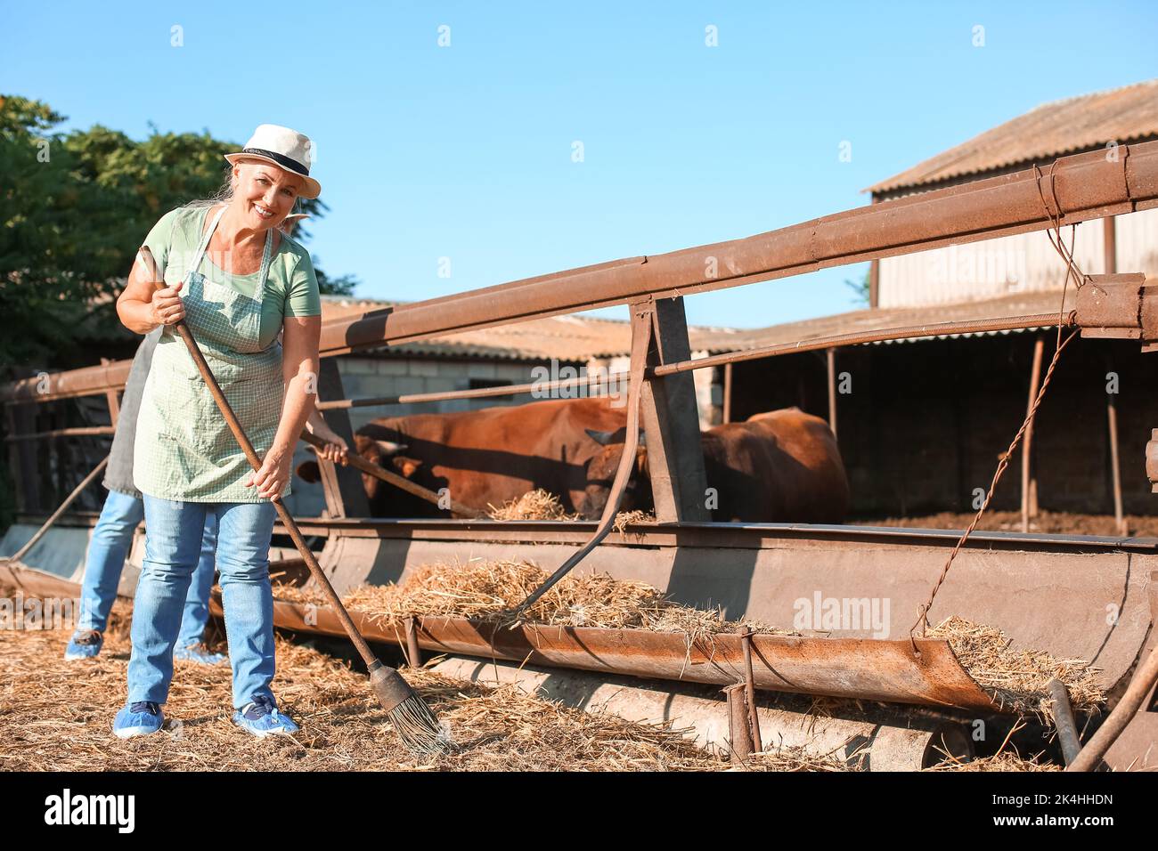 Femme mature près d'un enclos avec des vaches à la ferme Banque D'Images Femme mature près d'un enclos avec des vaches à la ferme Banque D'Images
