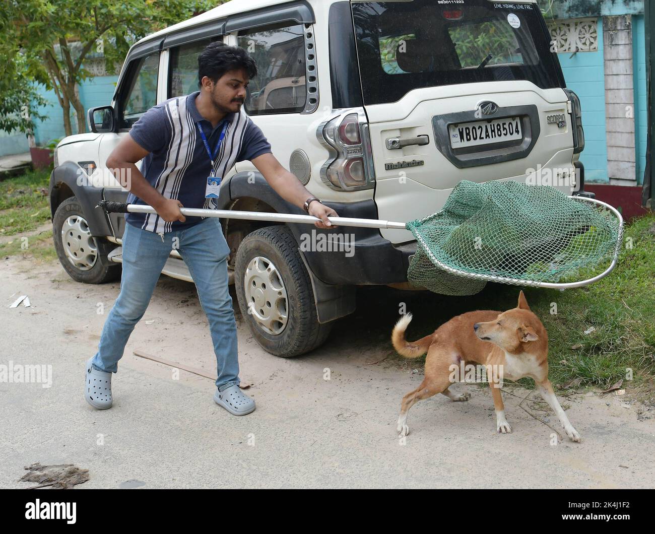 Un volontaire d'une ONG nommée Pawsome tente de prendre un chien avec un filet pour administrer le vaccin anti-rage (ARV) aux chiens de rue lors d'une campagne spéciale à l'occasion de la Journée mondiale de la rage à Agartala. Tripura, Inde. Banque D'Images