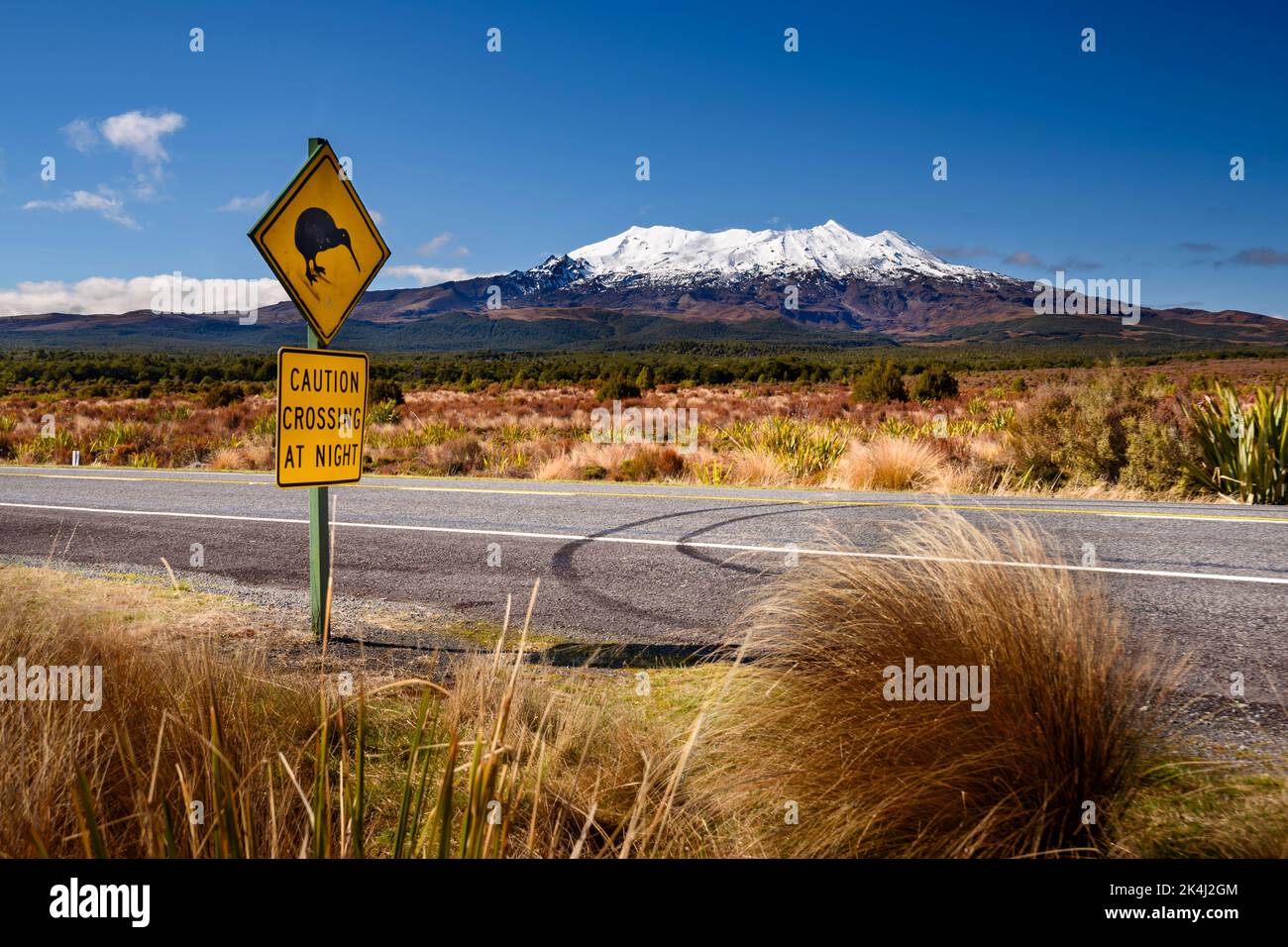 Signalisation routière au croisement de Kiwi dans le parc national de Tongariro, Nouvelle-Zélande Banque D'Images Signalisation routière au croisement de Kiwi dans le parc national de Tongariro, Nouvelle-Zélande Banque D'Images