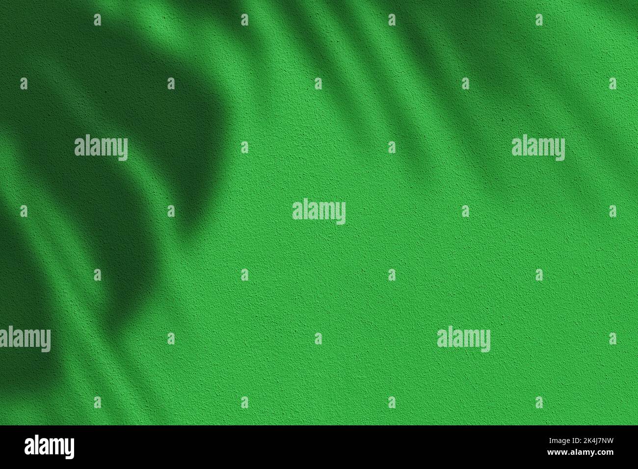 Ombre de feuilles sur fond de texture de mur en béton vert vif Banque D'Images