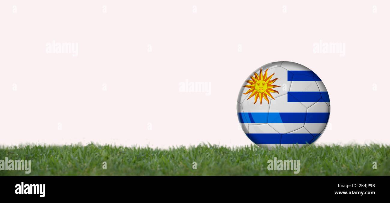 drapeau uruguayen sur le ballon de football sur l'herbe, espace de copie avec fond blanc. Banque D'Images