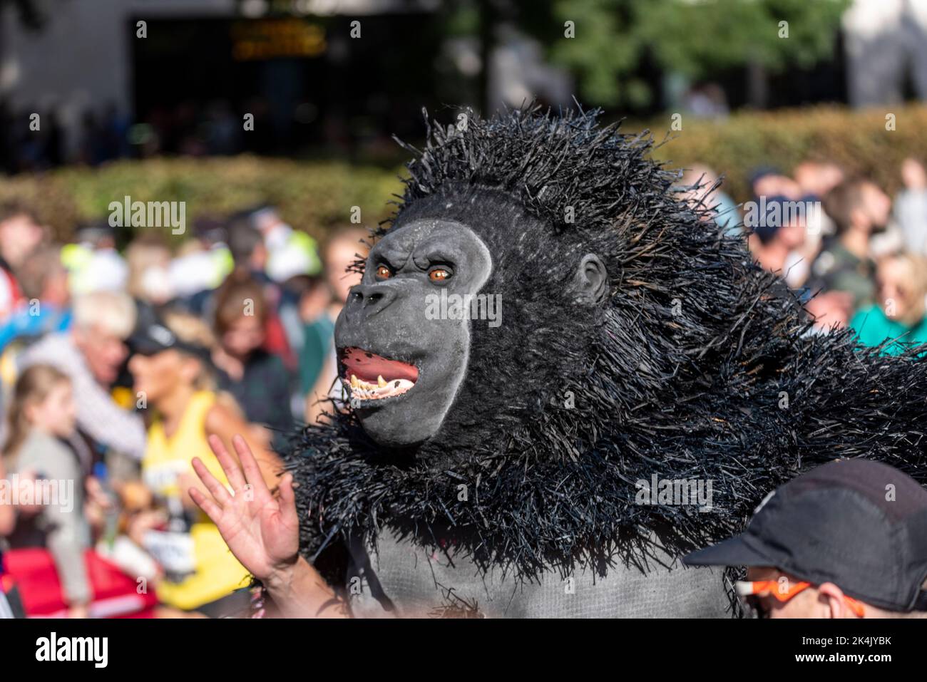 Will Highfield en course au TCS London Marathon 2022, sur Tower Hill Road, City of London, Royaume-Uni. Portant un costume de gorille pour Re-Wild Our World Banque D'Images
