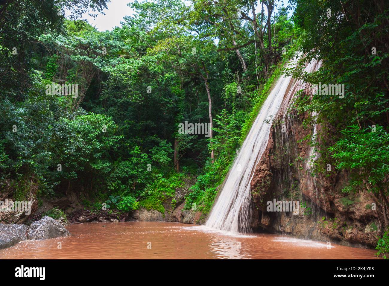Samana, République Dominicaine paysage avec une cascade dans la forêt tropicale Banque D'Images