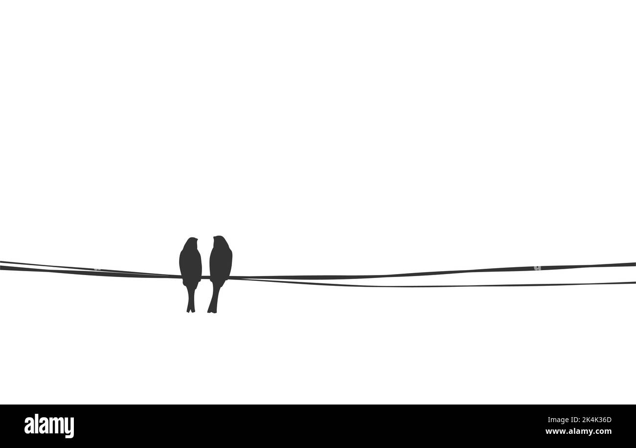 Couple d'oiseaux assis sur le fil. Illustration de vecteur de silhouette d'amour et d'affection, image de stock simple. Sparrow famille sur câble mère père parents Illustration de Vecteur