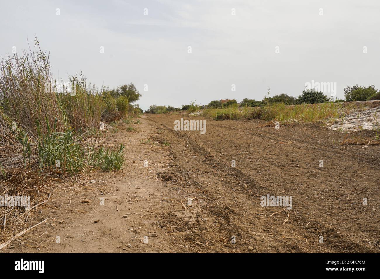 Nettoyage des berges de la rivière Guadalhorce parc naturel de la rivière, Malaga, Andalousie, Espagne. Banque D'Images