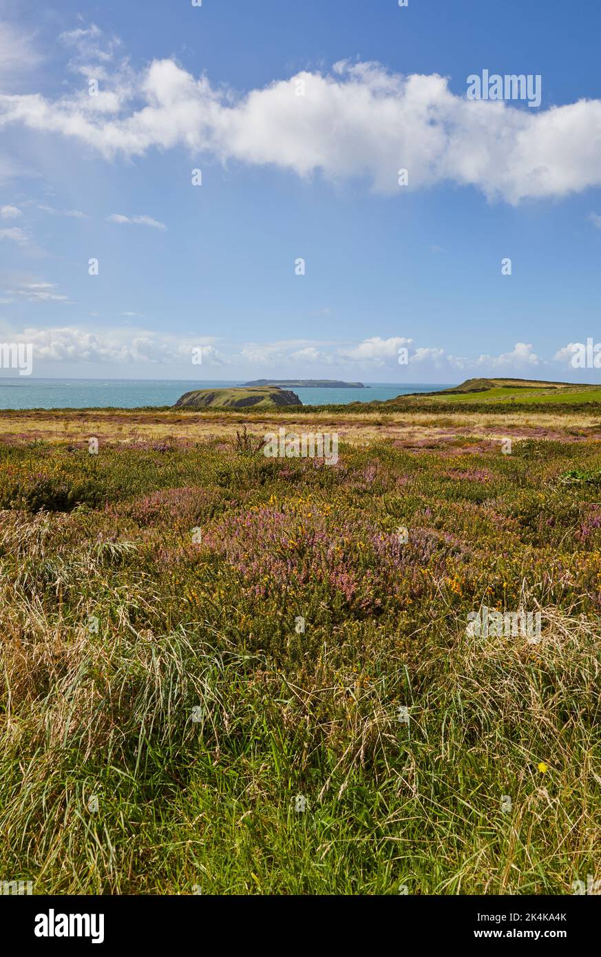 Pembrokeshire, Pays de Galles Banque D'Images