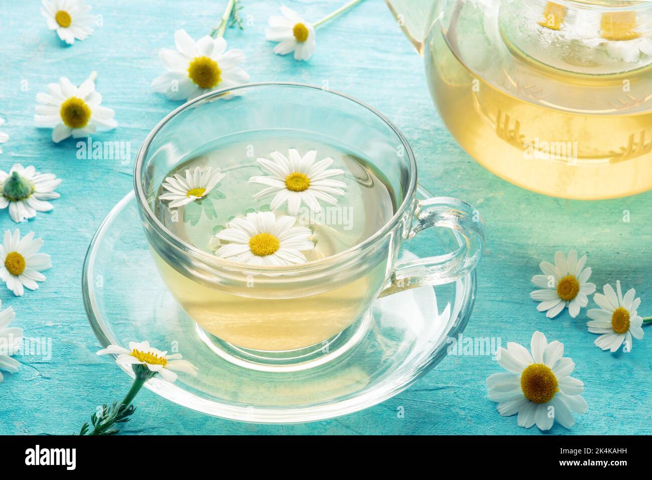 Thé de camomille dans une tasse avec une théière, une infusion de plantes pour se détendre, fleurs organiques sur fond bleu Banque D'Images