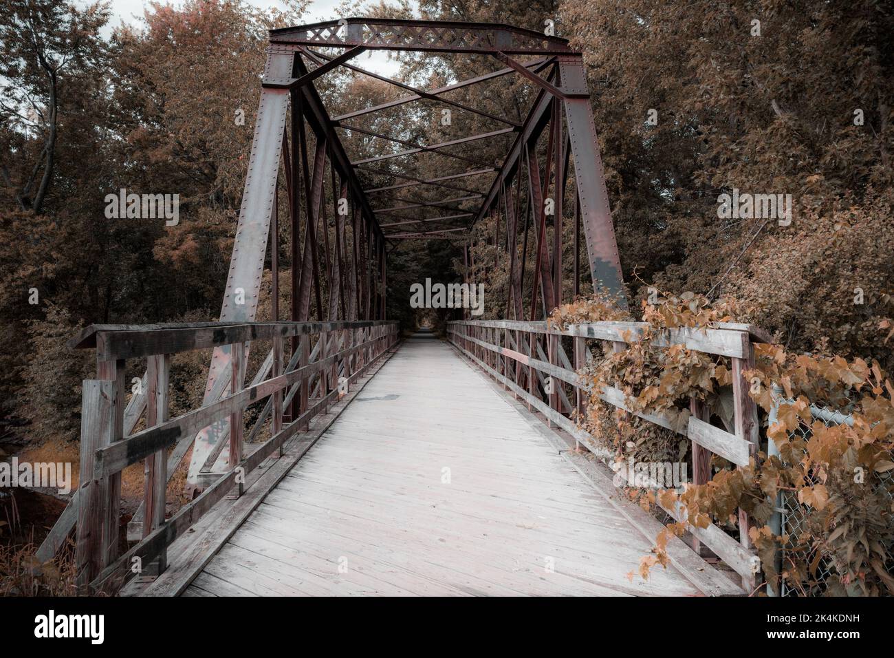 Vieux pont de chemin de fer Rusty Banque D'Images