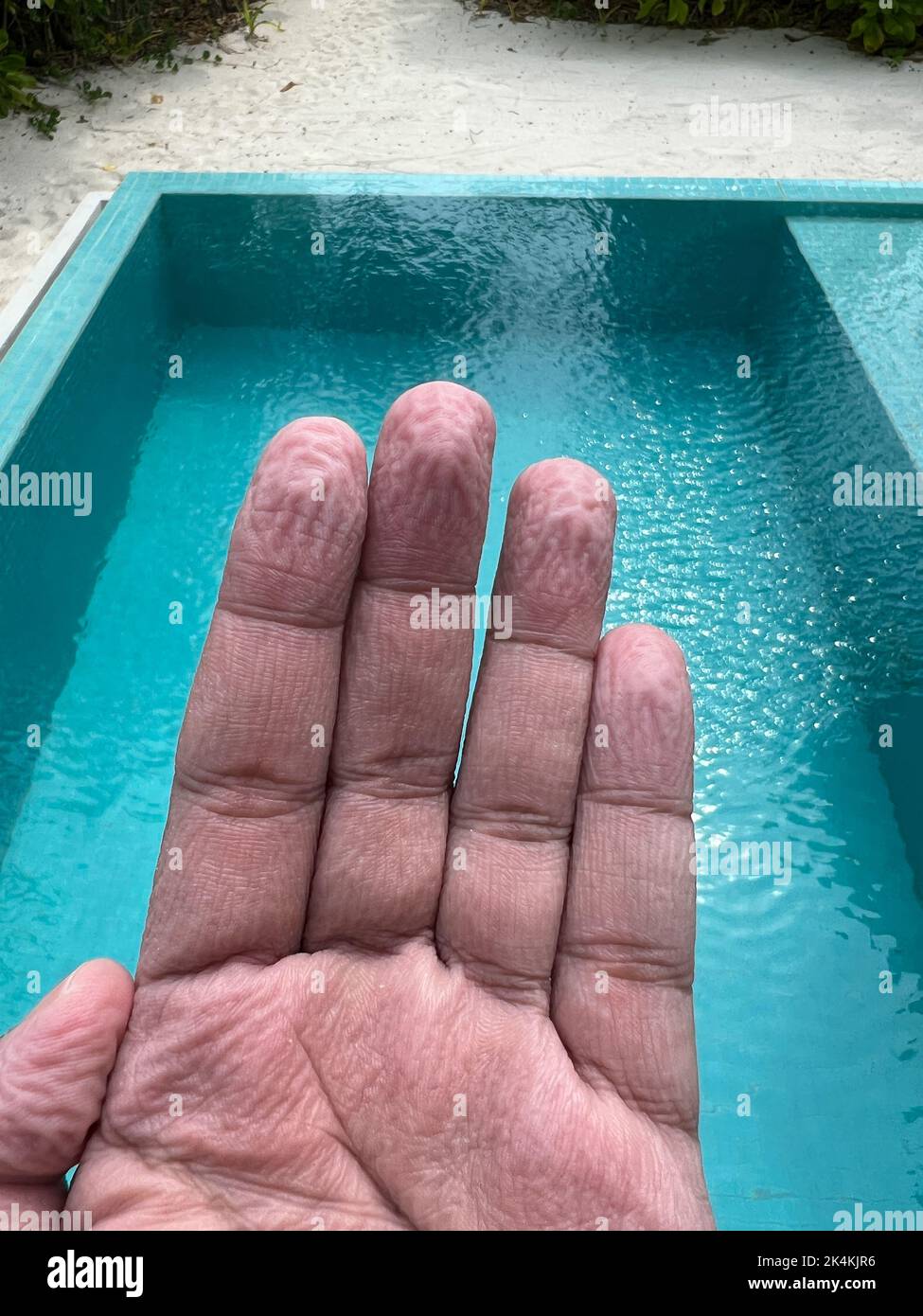 Les doigts d'un homme adulte se sont froissés après avoir passé un temps excessif dans la piscine. Banque D'Images