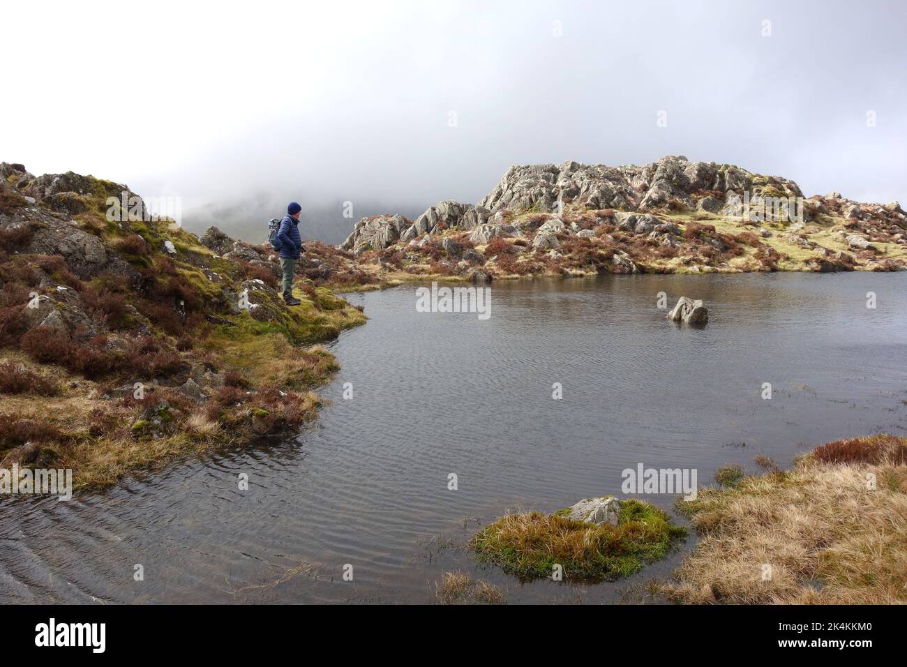 Homme debout et regardant le Summit Tarn sur le Wainwright 'Haystacks' dans le parc national du Lake District, Cumbria, Angleterre, Royaume-Uni. Banque D'Images