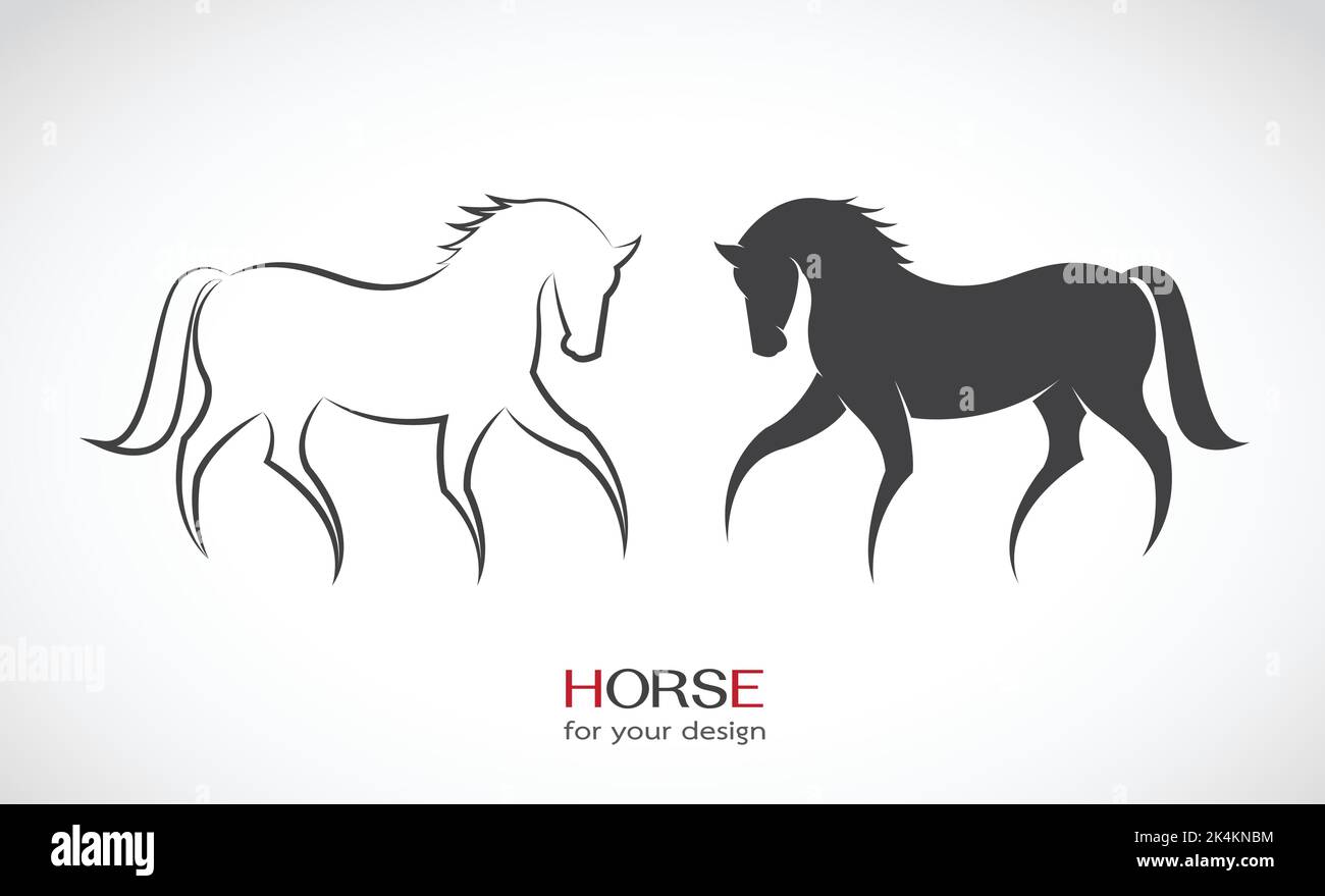 Image vectorielle de conception de cheval sur fond blanc. Illustration vectorielle superposée facile à modifier. Animaux sauvages. Illustration de Vecteur
