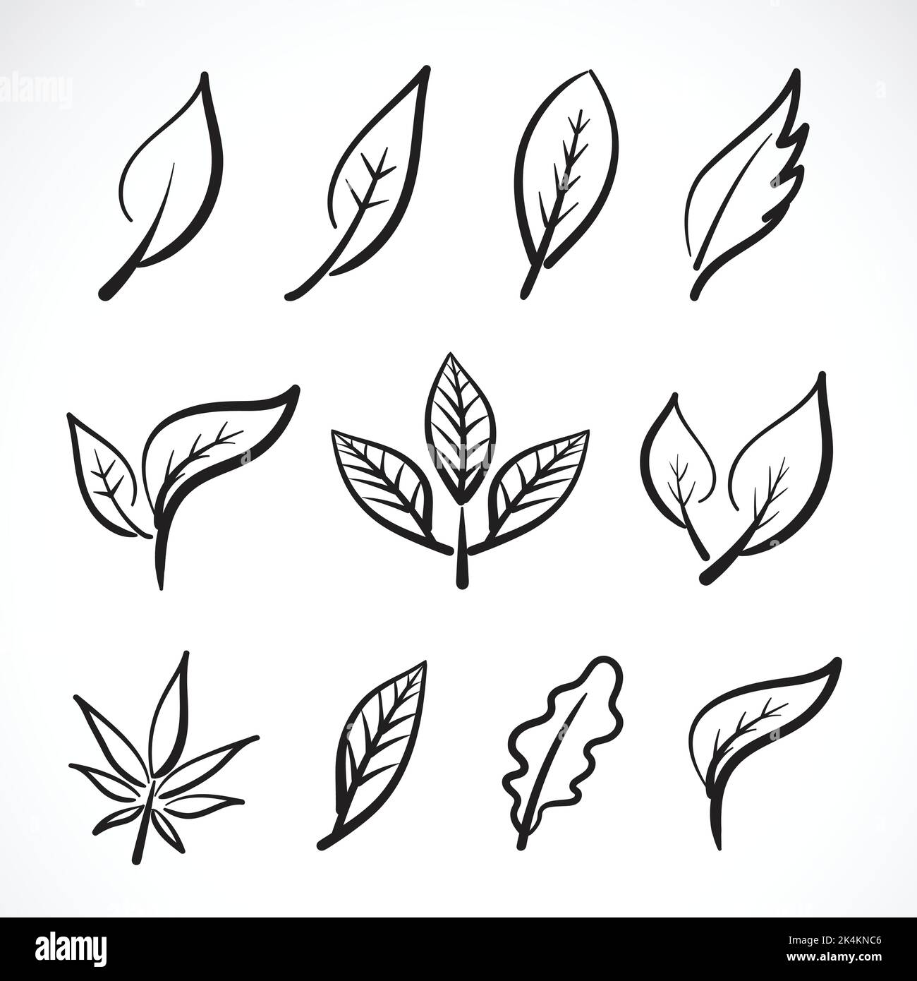 Vecteur de feuilles dessinées à la main isolées sur fond blanc. Regrouper les feuilles. Illustration vectorielle superposée facile à modifier. Illustration de Vecteur