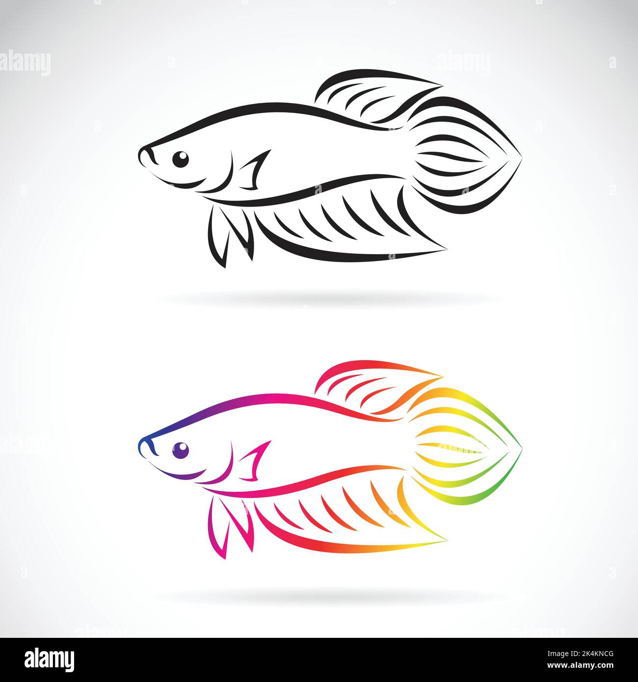 Image vectorielle d'un dessin de poisson de combat sur fond blanc, logo animal. Animaux de compagnie. Illustration vectorielle superposée facile à modifier. Illustration de Vecteur
