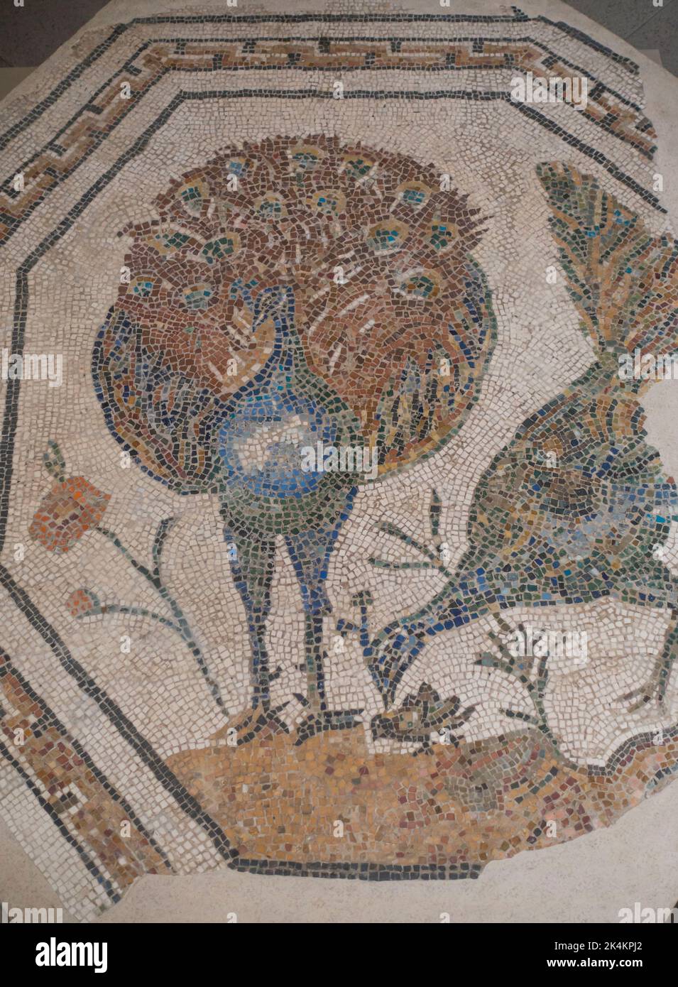 Rome, Italie Centrale Montemartini Musée mosaïque romaine représentant deux paons Banque D'Images
