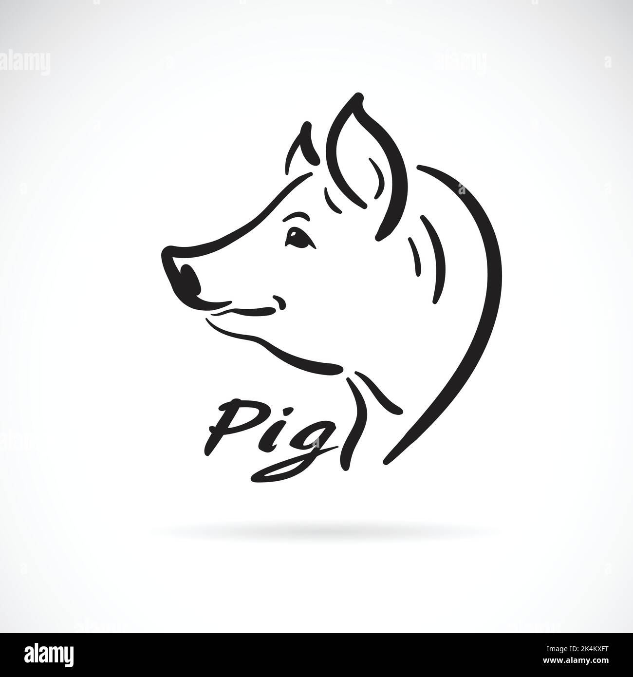Vecteur de peinture de tête de porc à main levée sur fond blanc. Animaux de ferme. Logo ou icône de la tête de porc. Illustration vectorielle superposée facile à modifier. Illustration de Vecteur