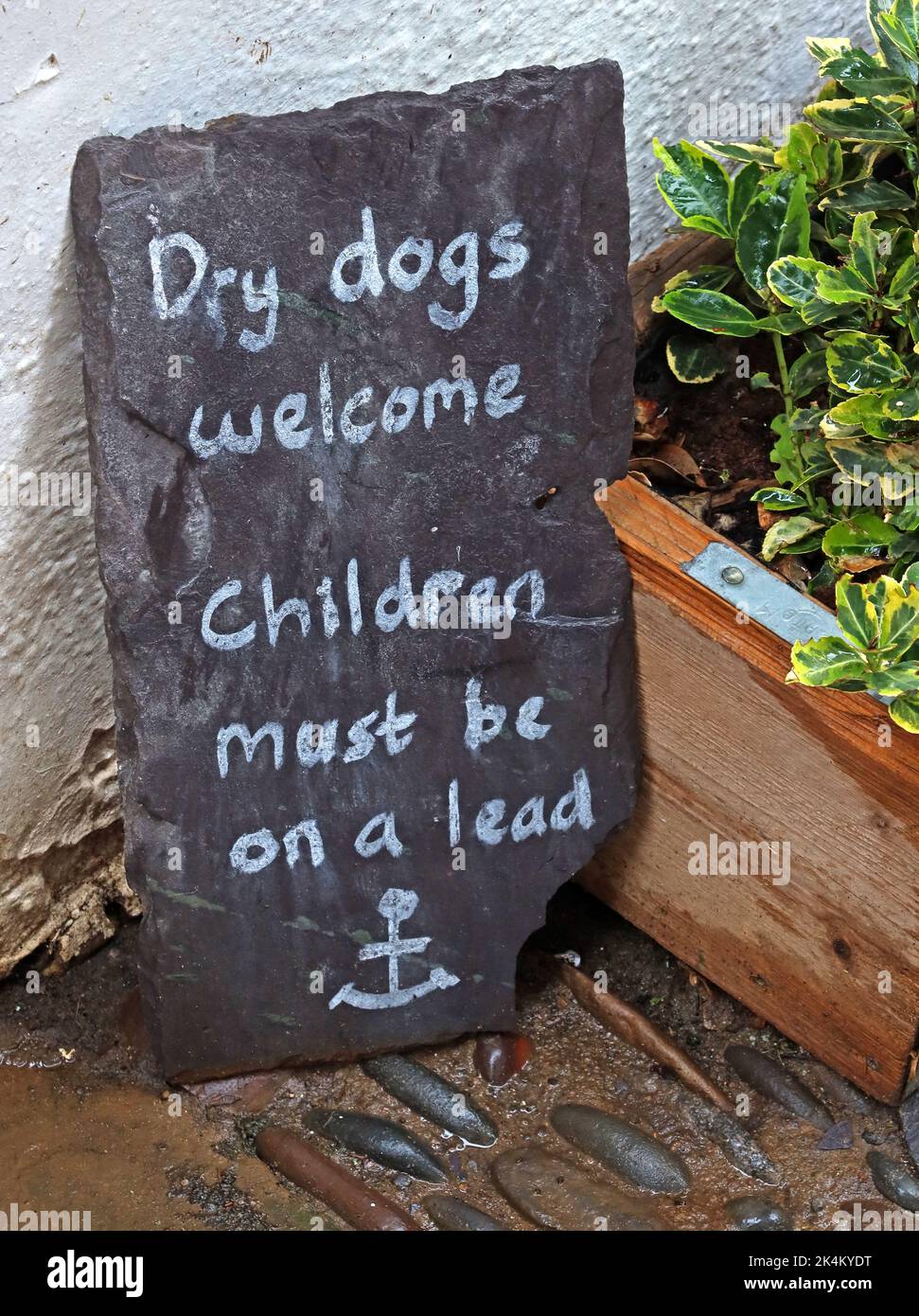 Panneau ardoise, Dry Dogs Welcome, les enfants doivent être en laisse, à Robin Hoods Bay, côte nord du Yorkshire, Angleterre, Royaume-Uni Banque D'Images