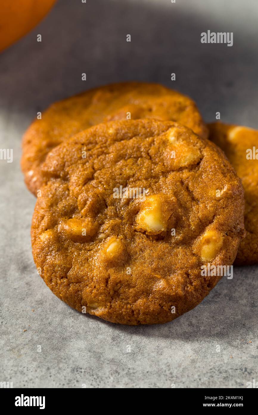 Biscuits aux épices à la citrouille faits maison prêts à manger Banque D'Images