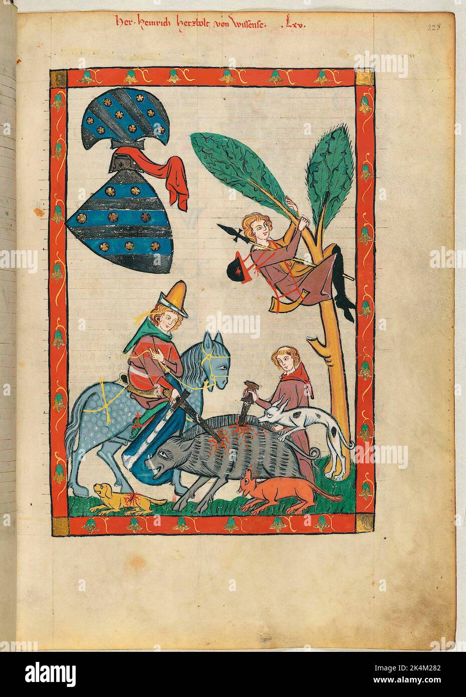 Le 'Codex Manesse', également connu sous le nom de 'Great Heidelberg Book of Songs' (Cod. Germe PAL. 848), a été créé entre 1300 et 1340 à Zurich et est la collection la plus complète de ballades et de poésie épigramatique en langue moyenne haute allemande. Il se compose de 426 feuilles de parcments, chacune de 35,5 x 25 cm, double-face, pagination ajoutée dans une main de pointe ultérieure. En outre, le codex comprend 140 pages vierges et de nombreuses pages partiellement vierges. Grand livre de chansons de Heidelberg. Grosse Heidelberger Liederhandschrift. Codex Manesse. Manuscrit illuminé, art médiéval Heidelberg, Université Banque D'Images