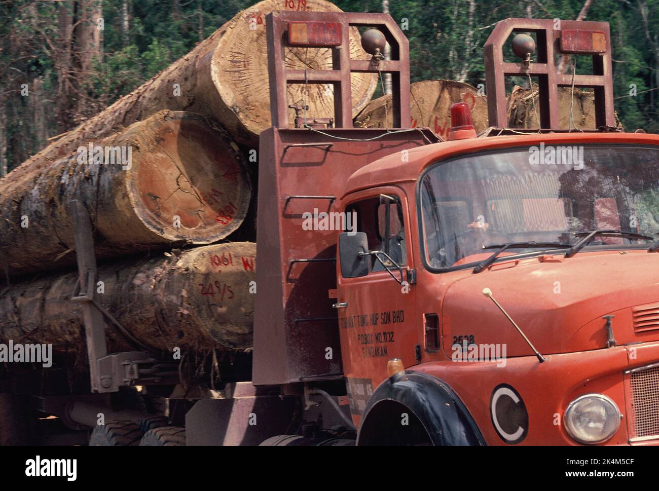 Malaisie. Sabah. Gros plan d'un camion de bûchage chargé de grumes de bois dur. Banque D'Images