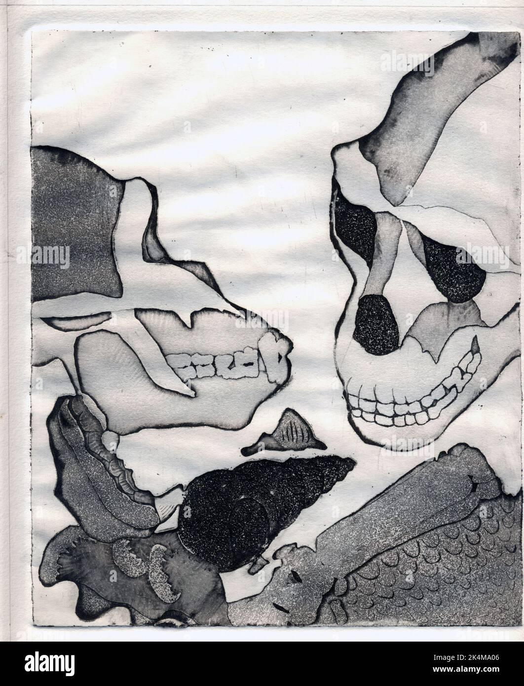 2 de 4 gravures montrant deux crânes gorilles/hominidés, convient pour la couverture de livre, l'art de magazine, l'évolution, la biologie, la zoologie, anthropologie, histoire gothique Banque D'Images 2 de 4 gravures montrant deux crânes gorilles/hominidés, convient pour la couverture de livre, l'art de magazine, l'évolution, la biologie, la zoologie, anthropologie, histoire gothique Banque D'Images