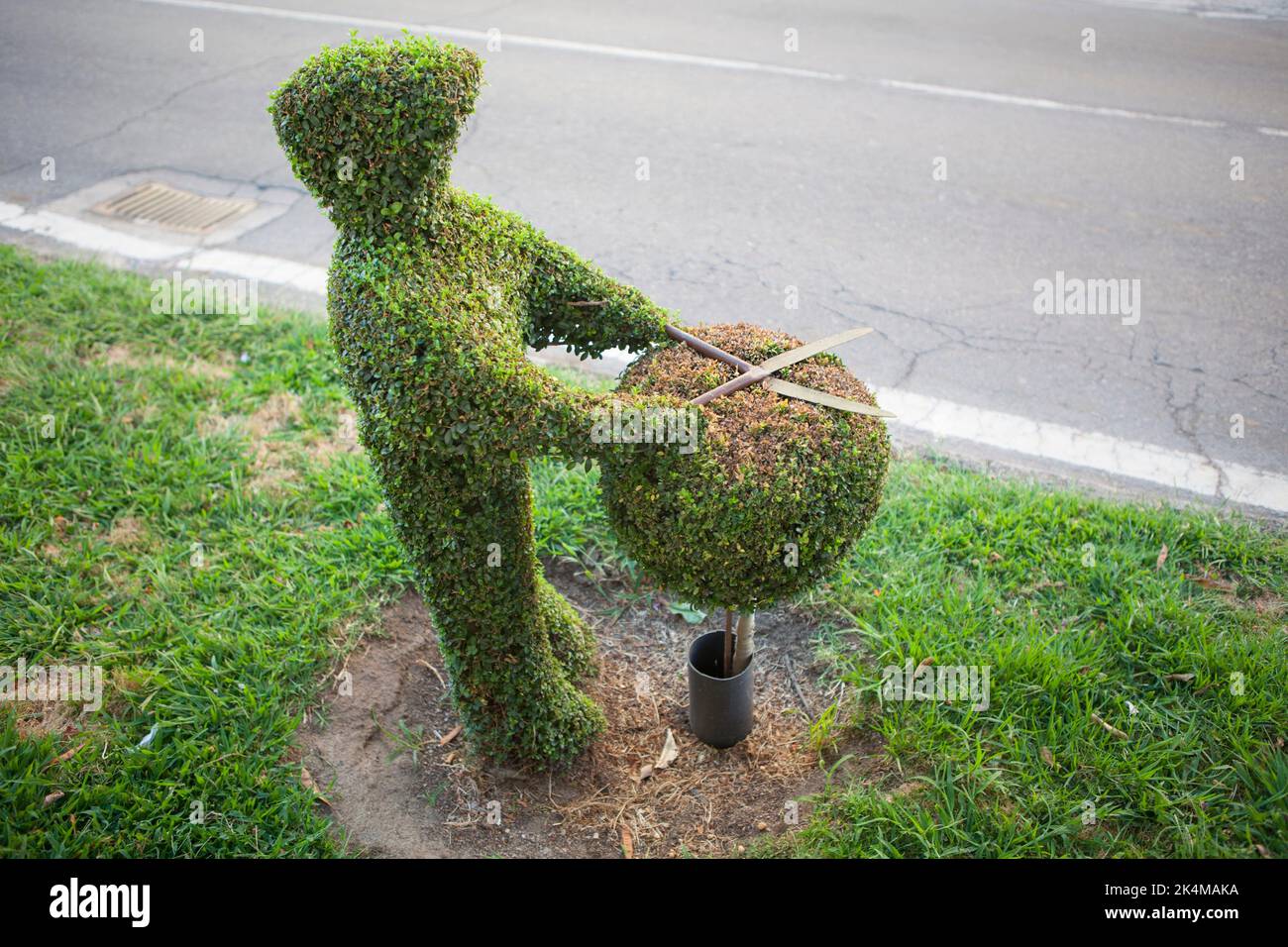 Sculpture vert élaguer, l'image la plus distinctive de la ville. Losar de la Vera, Caceres, Estrémadure, Espagne. Banque D'Images