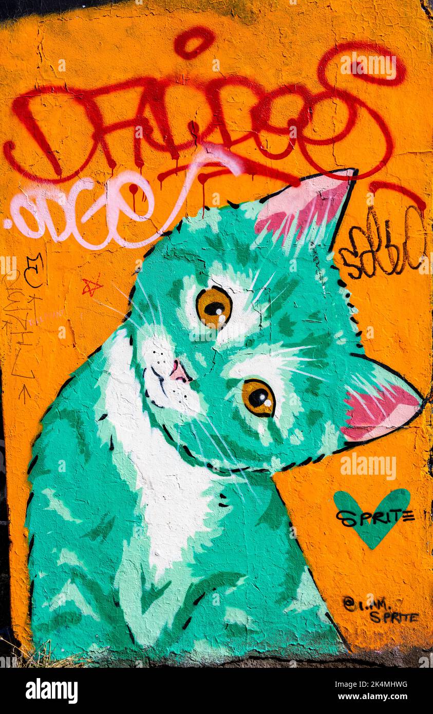 Graffiti d'un chaton par Sprite (?) Dans la ruelle arrière de King place, North Laines, Brighton Banque D'Images