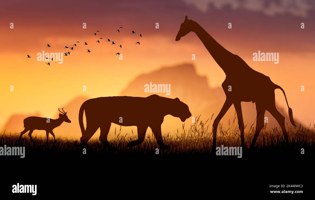 Journée mondiale de la faune des groupes de bêtes sauvages ont été rassemblés dans de grands troupeaux dans le champ ouvert le soir où le soleil d'or brillait. Banque D'Images