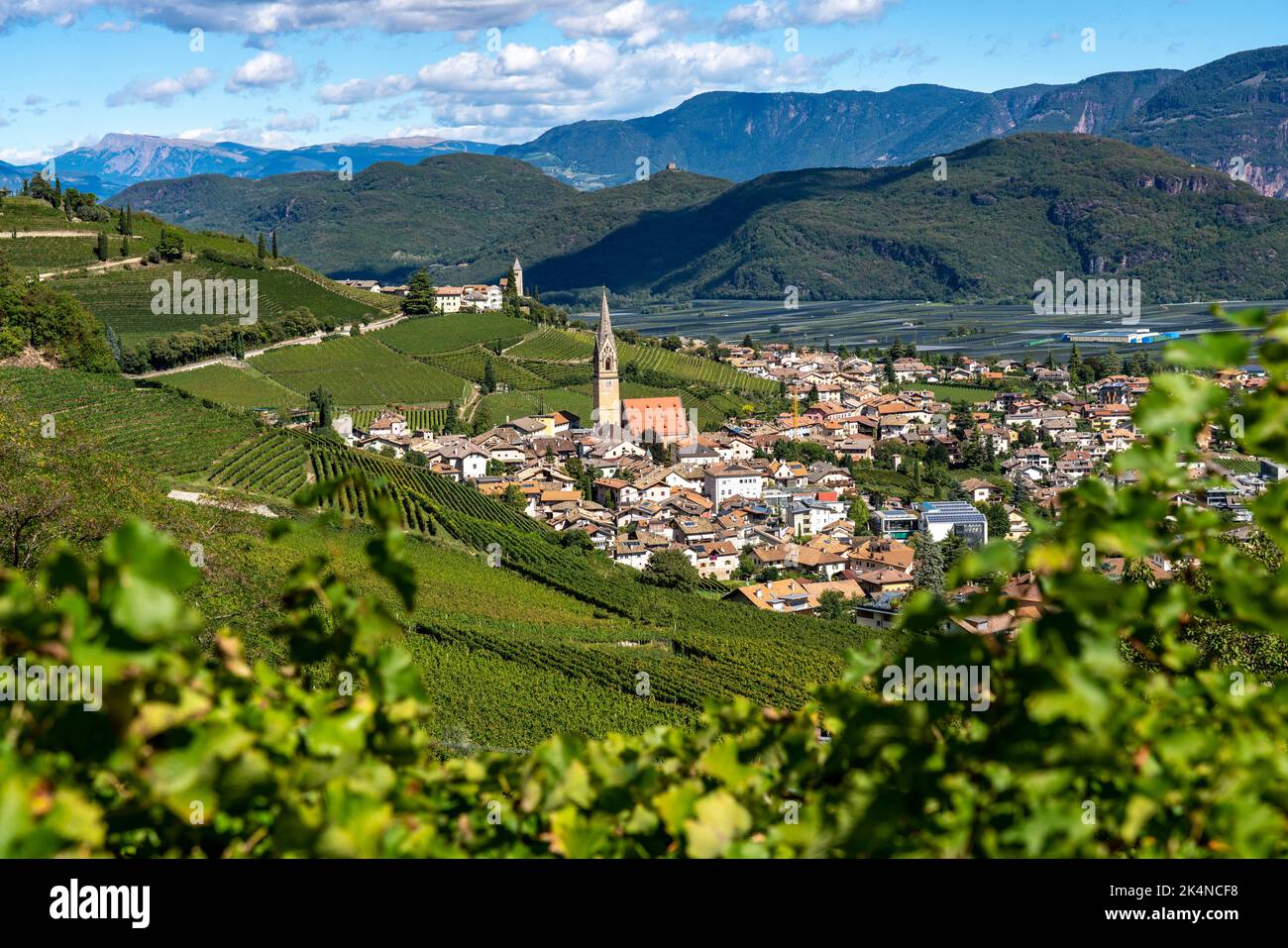 Le village de Tramin an der Weinstraße, dans le Tyrol du Sud, région viticole de Gewürztraminer, Italie, Banque D'Images