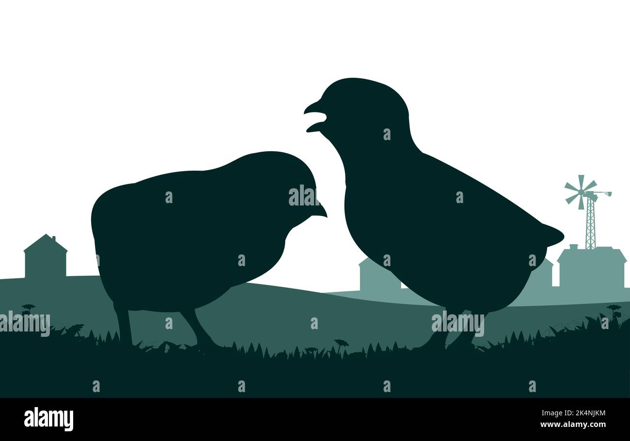 Poulets pâturage. Silhouette de paysage. Oiseau agricole. Bâtiment agricole. Objet isolé sur fond blanc. Vecteur. Illustration de Vecteur