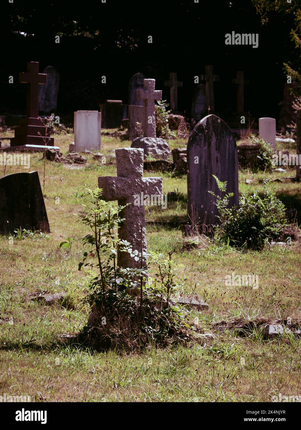 Une croix de vent rugueuse dans le cimetière Banque D'Images