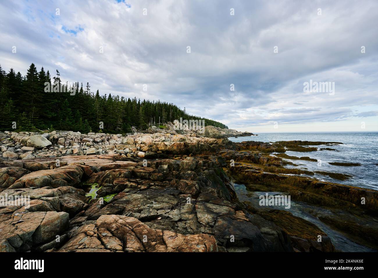 Vue sur la Cutler Coast, Maine Banque D'Images