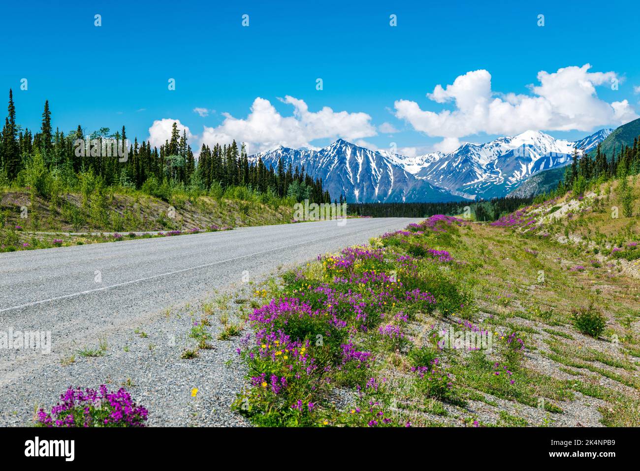 Vue à l'ouest des monts Saint Elias; parc national et réserve Kluane de la route Haines; Territoires du Yukon; Canada Banque D'Images