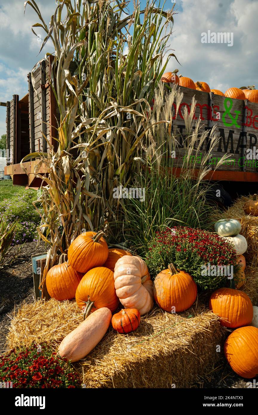 Scènes d'automne Banque D'Images