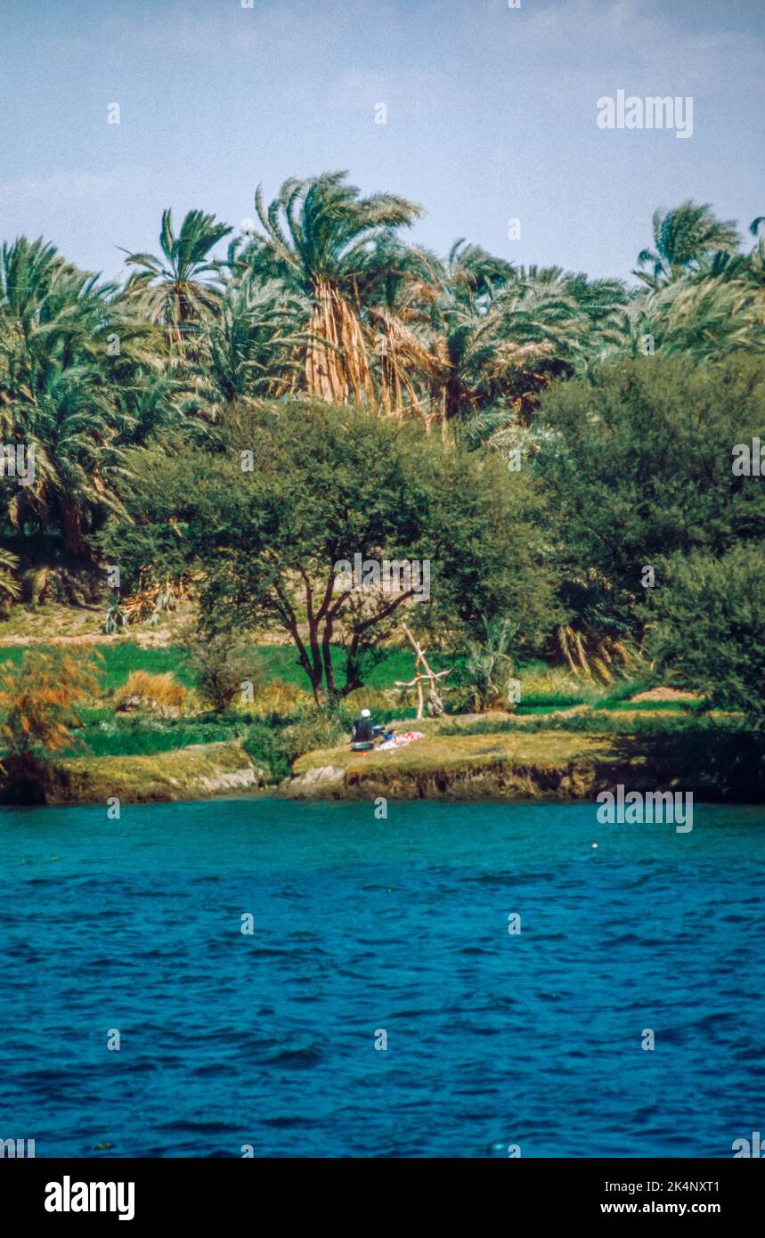 Shaduf - un dispositif de levage de l'eau sur la rive du Nil. Croisière sur le Nil supérieur - balayage d'archives à partir d'une diapositive. Février 1987. Banque D'Images