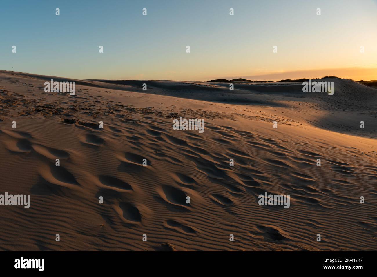 Empreintes de pieds sur des dunes de sable au coucher du soleil à Skagen, Danemark Banque D'Images