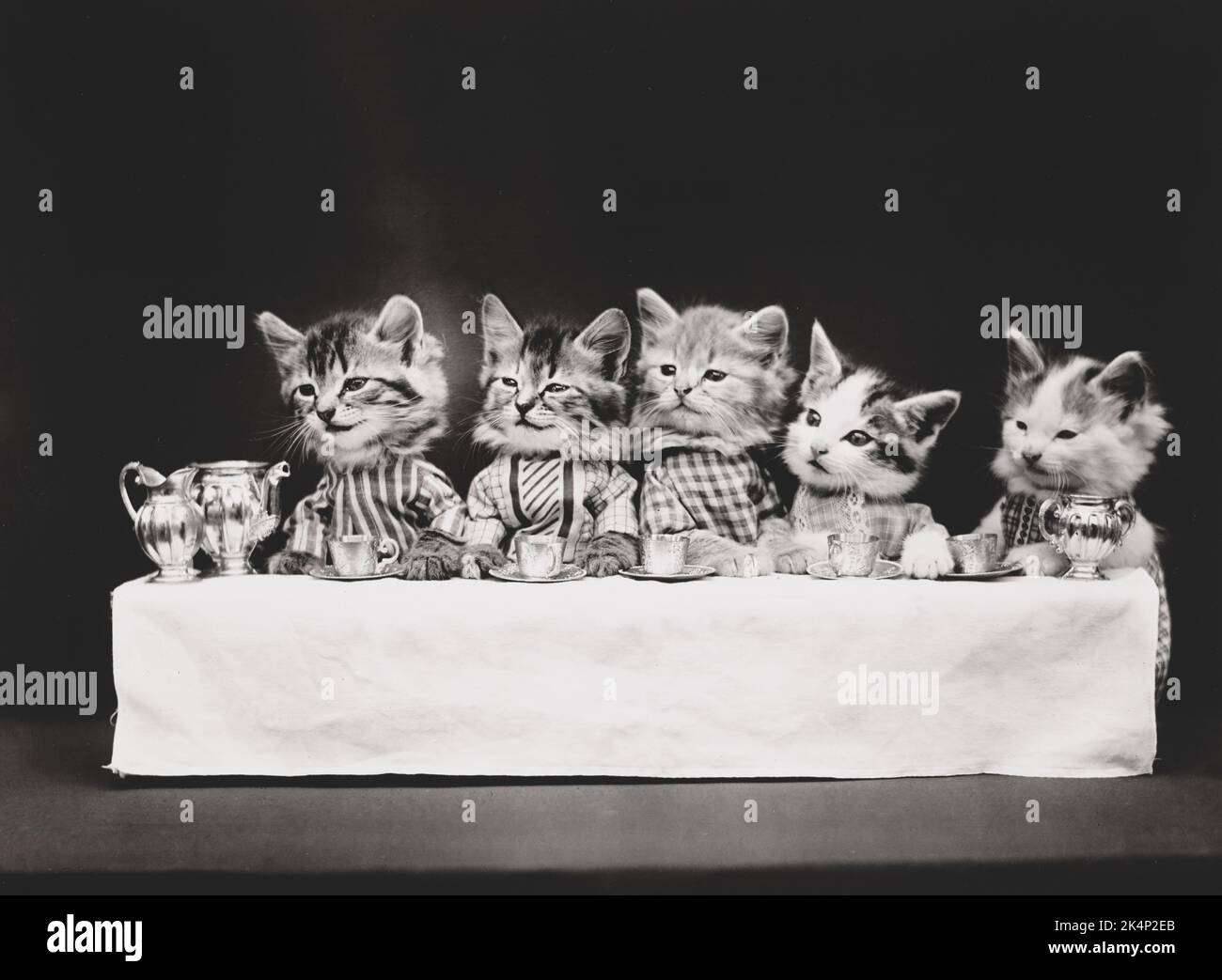Cinq chatons portant des vêtements mangent de la nourriture à une table, dans une photo nommée « le pique-nique » par Harry Whittier libère Banque D'Images