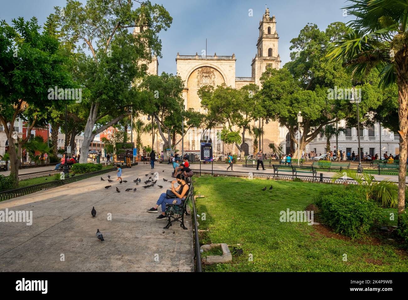 Plaza Grande, la place principale de la ville et la cathédrale de Mérida au coucher du soleil Banque D'Images