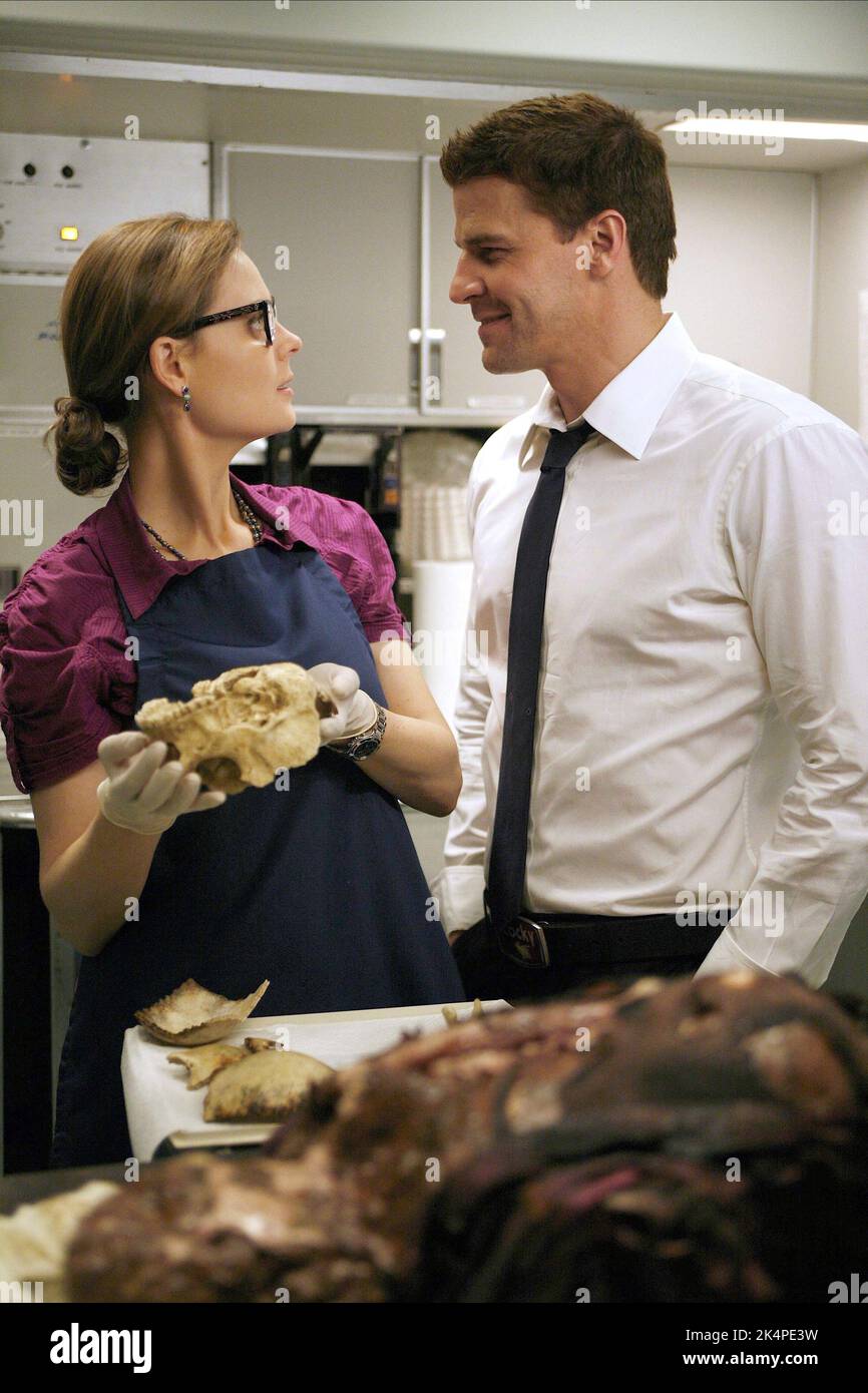 EMILY DESCHANEL, DAVID BOREANAZ, OS : Saison 4, 2008 Banque D'Images