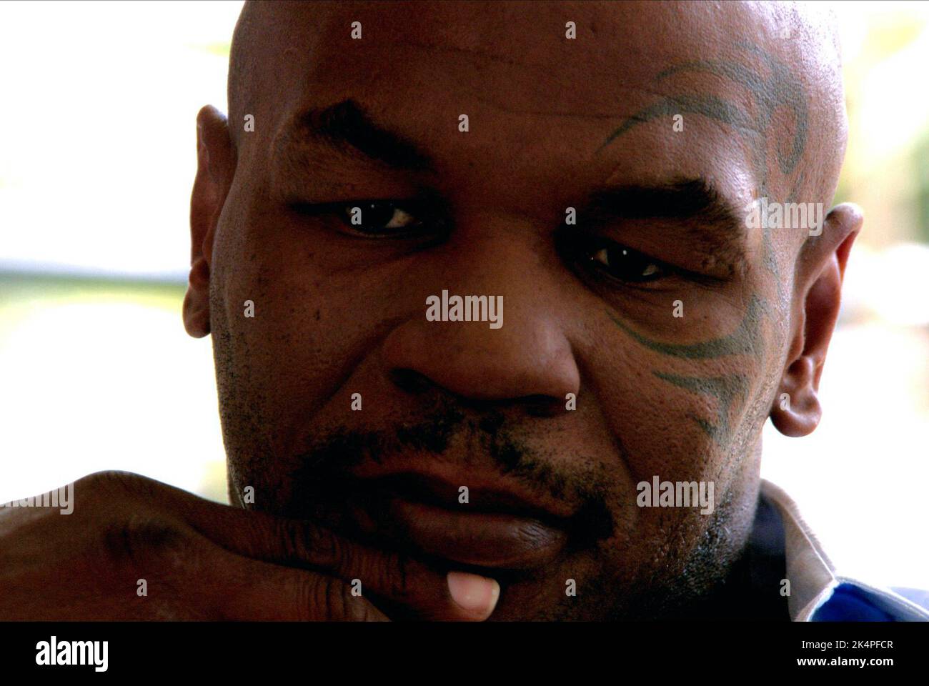 MIKE TYSON, Tyson, 2008 Banque D'Images