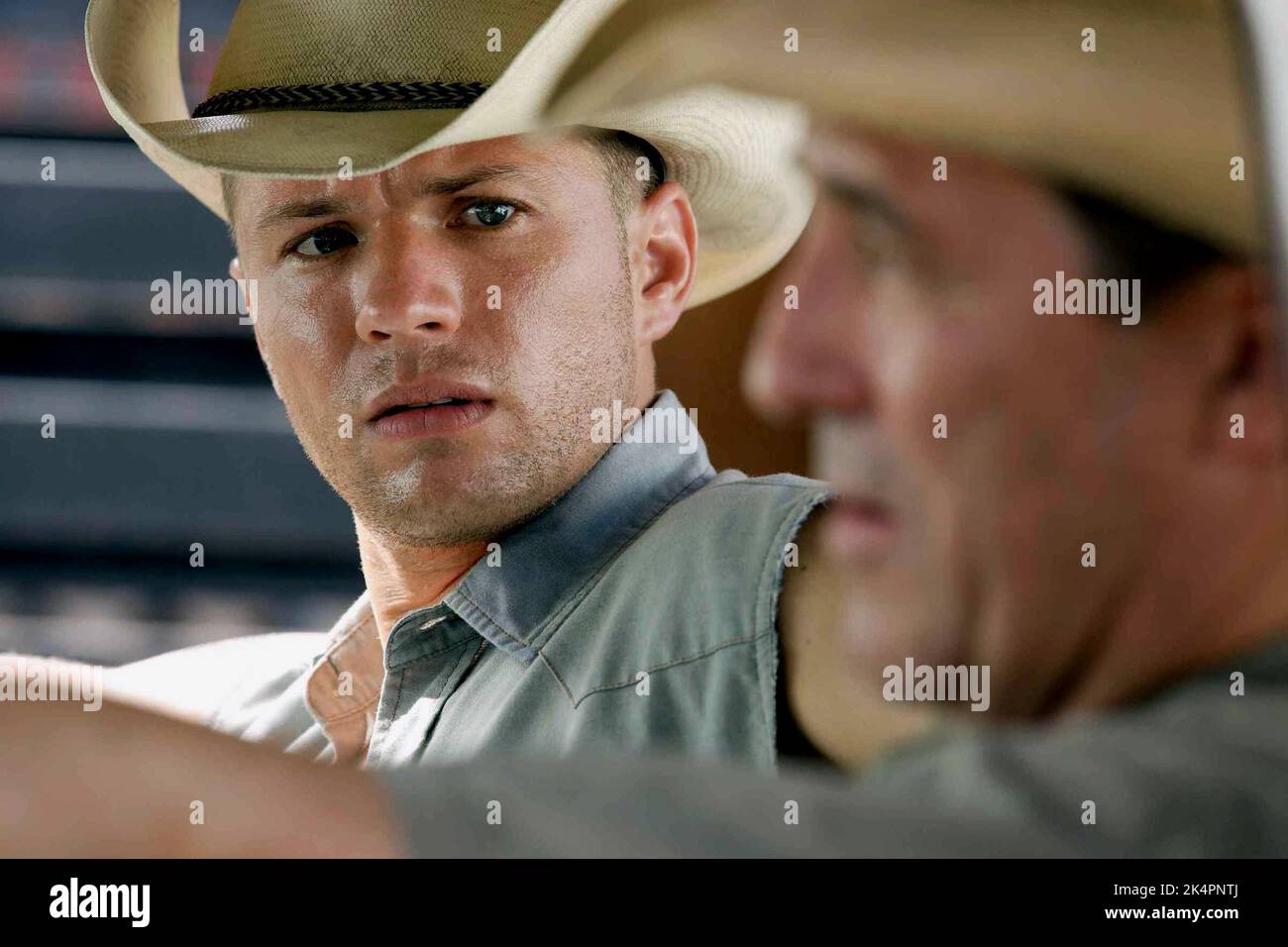 PHILIPPE, HINDS, ARRÊT-PERTE, 2008 Banque D'Images