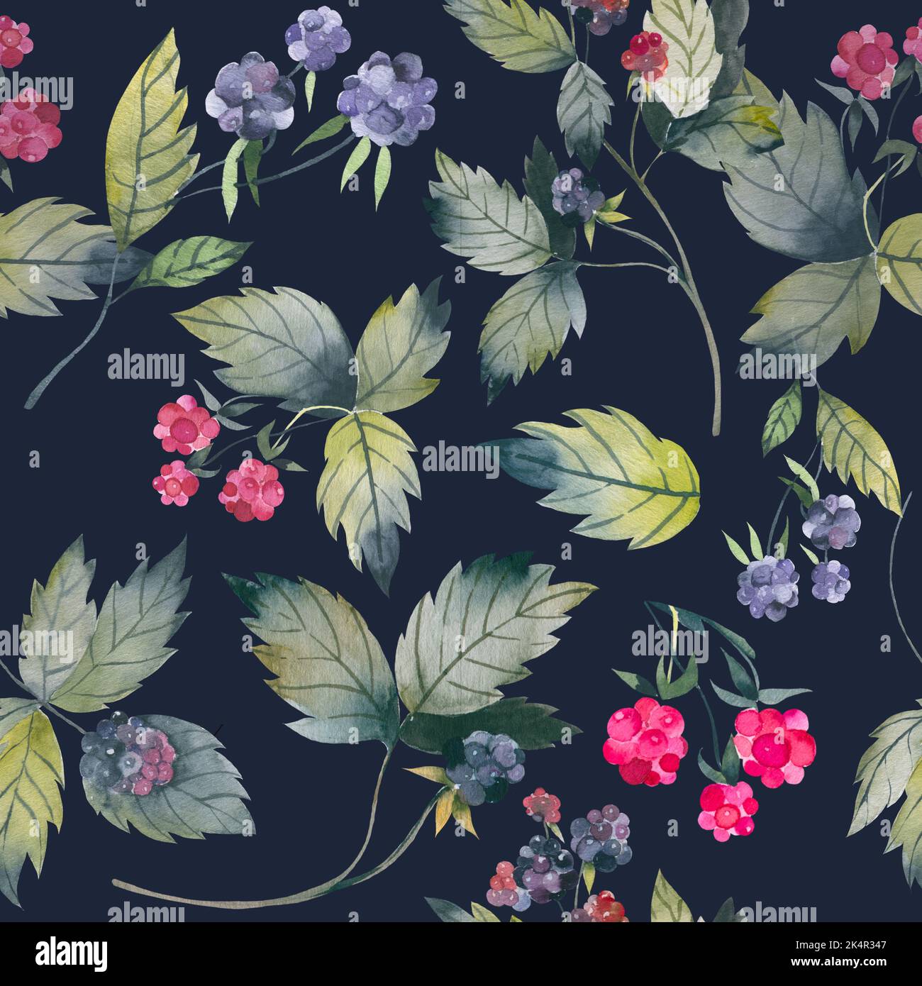 Baies fraîches motif sans couture baies décoratives dessinées à la main avec des feuilles mûres, framboises, branches pour l'impression, textile, papier peint. Tendance Banque D'Images