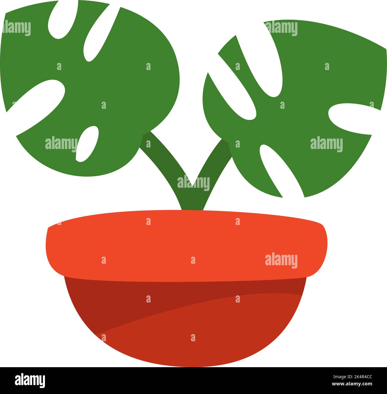 Plante de Monstera en pot, illustration, vecteur sur fond blanc. Illustration de Vecteur