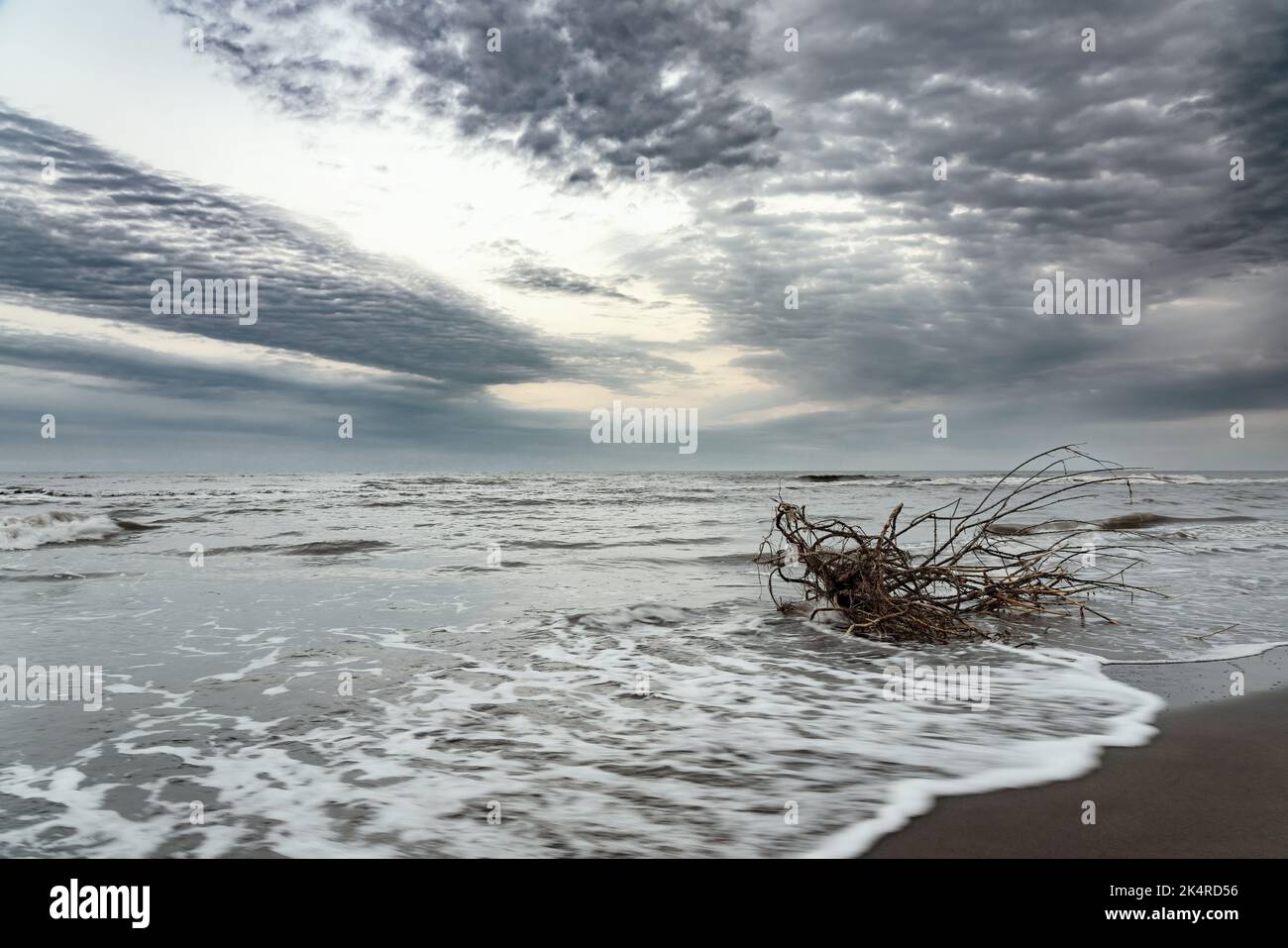 Un vieux musc est lavé par les vagues sur la rive Banque D'Images