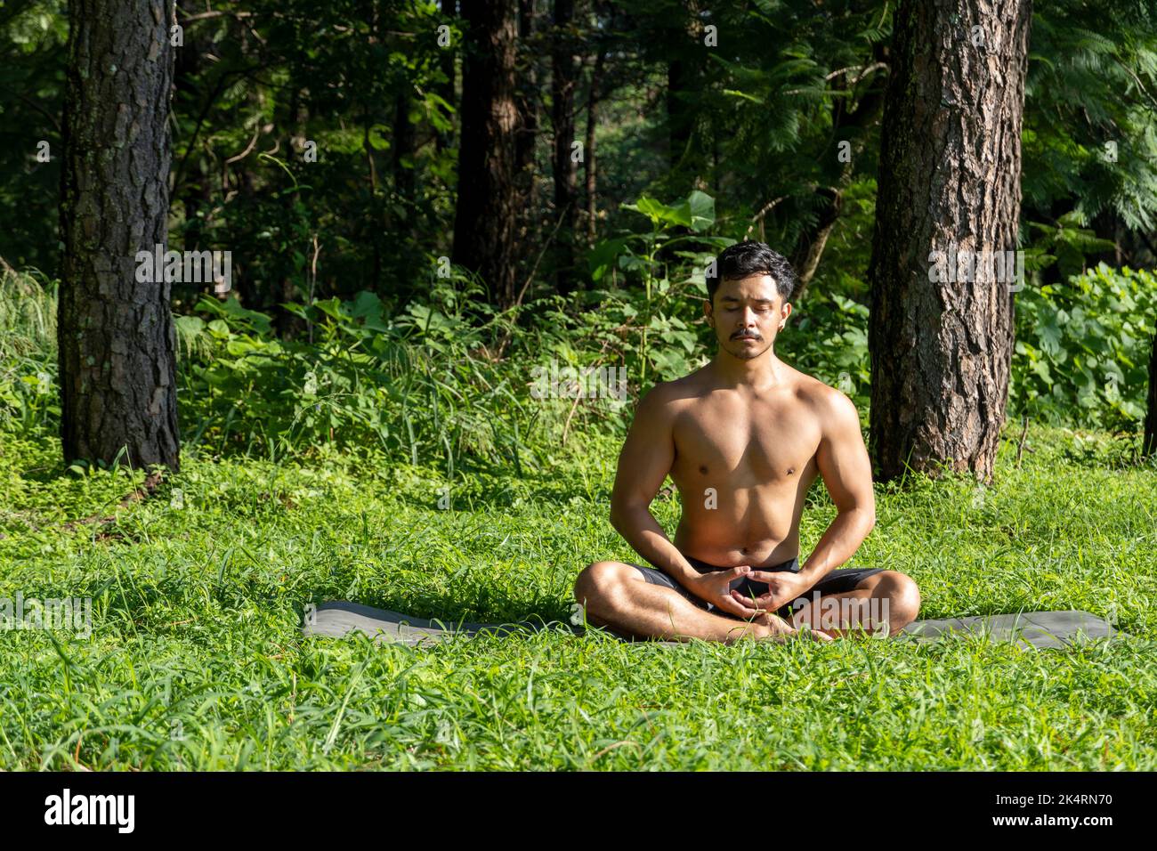 hispanique et homme latin, méditant au milieu d'une forêt, recevant des rayons du soleil, peau brune, mexique Banque D'Images