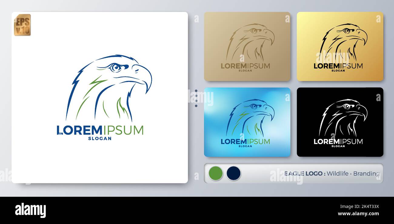 Motif logo représentant un œil d'aigle et une tête aiguiser la ligne. Nom vide pour insérer votre marquage. Conçu avec des exemples pour tous les types d'application Illustration de Vecteur