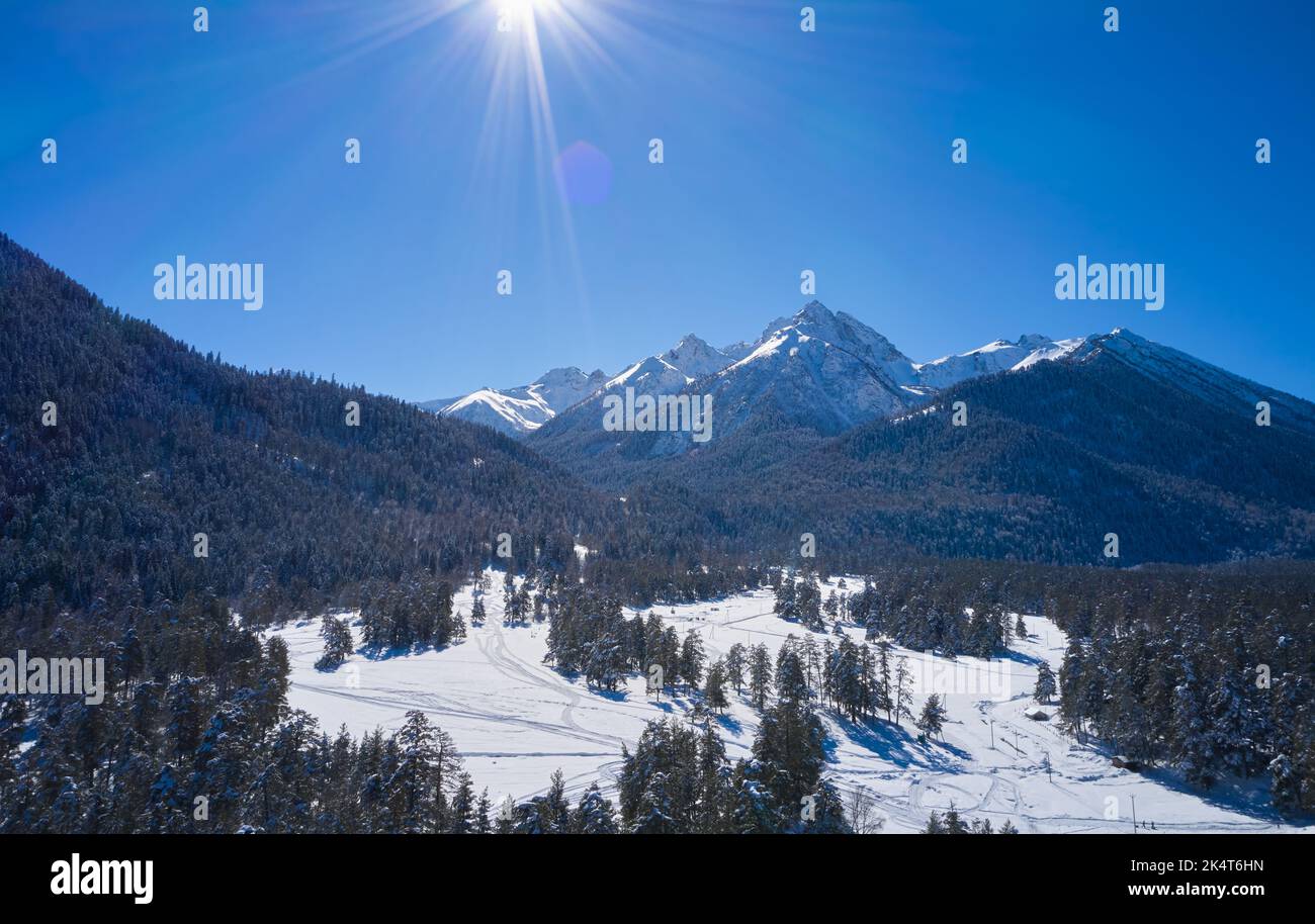 Paysage de montagne d'hiver avec sapins enneigés. Banque D'Images